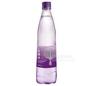 世界村 生命源水 飲用天然山泉水510ml