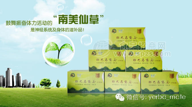 耶巴品牌 马黛茶袋泡装招代理