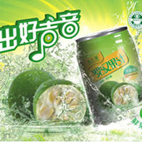 罗汉果汁饮料310ml全国招商