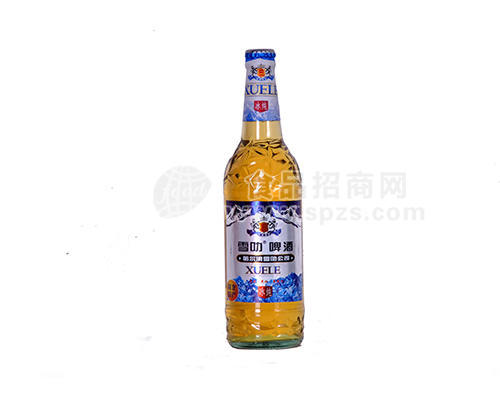 湖北原產(chǎn)冰純600Ml