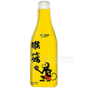 江中乳業(yè) 猴菇 猴頭菇植物蛋白 1.25L