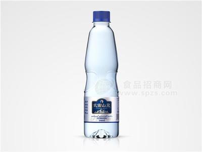 武當(dāng)山泉 飲用天然弱堿性水 500ml