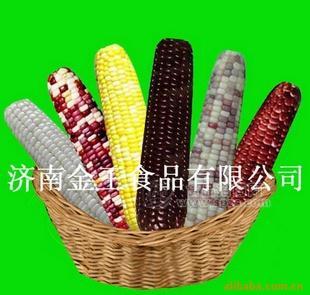 绿色食品，糯玉米 灌汤水饺 南瓜饼 金王食品