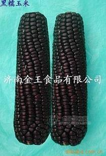 有机 富硒 黑糯玉米 金王食品