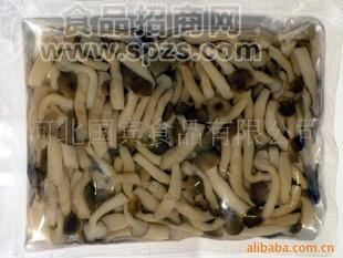 水煮姬菇 蘑菇罐头