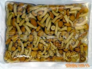 水煮滑子菇 蘑菇罐头