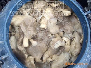盐渍灰平菇
