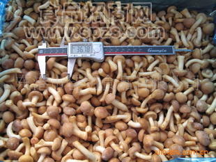 速冻滑子蘑nameko
