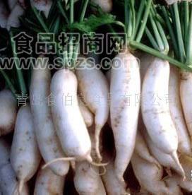 新鲜优质白萝卜(图)