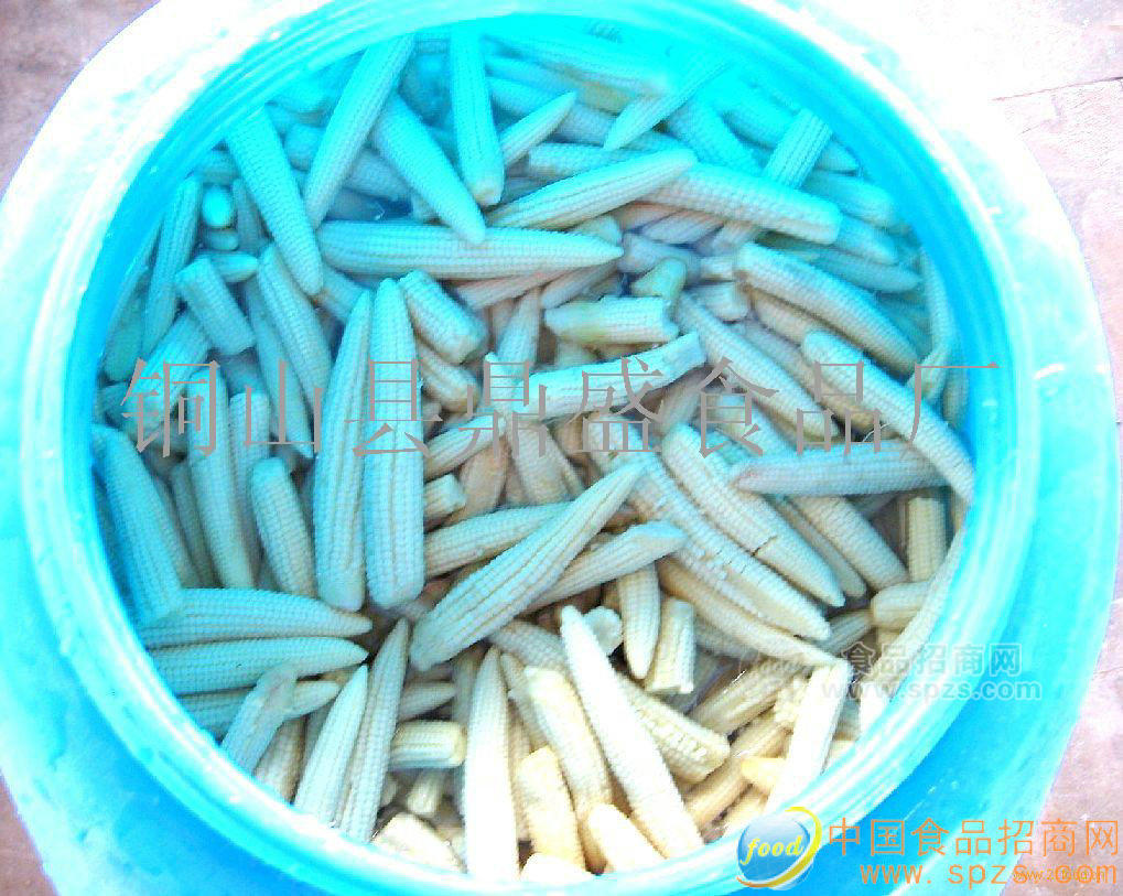 供应玉米笋加工品