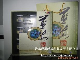罐頭果醬 藍(lán)莓罐頭 藍(lán)莓果醬
