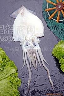 魷魚(yú)產(chǎn)品