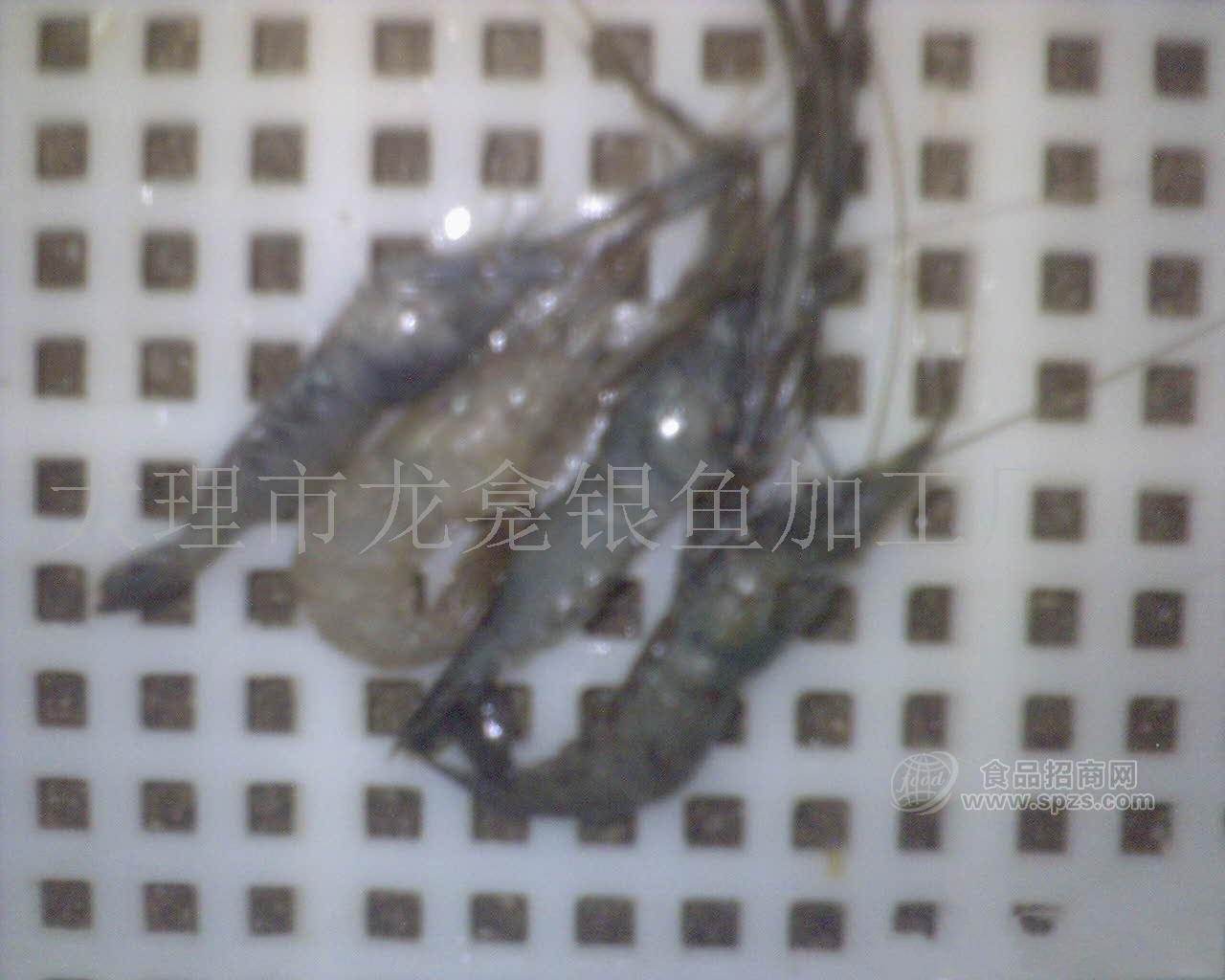 供应青虾