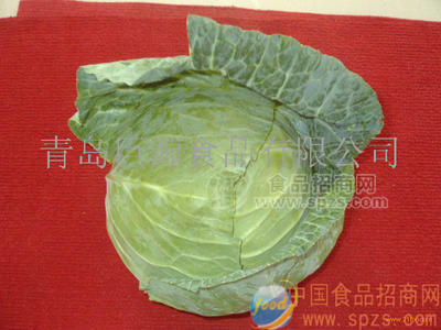 保鮮甘藍（扁包菜）