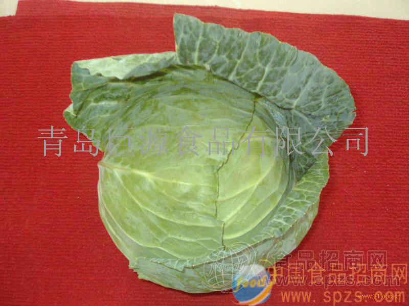 保鲜甘蓝（扁包菜）