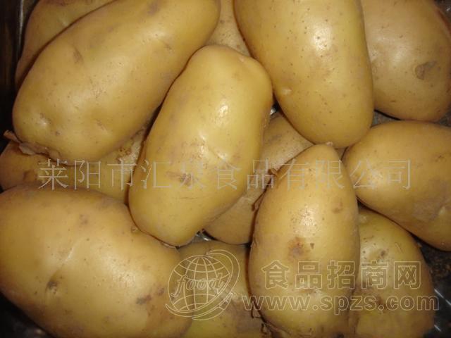供应马铃著--土豆(图)