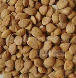 新疆特产新疆干果 甜杏仁 酸杏仁 杏仁类批发