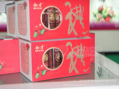 和才男士商务营养果肉果汁饮料礼盒