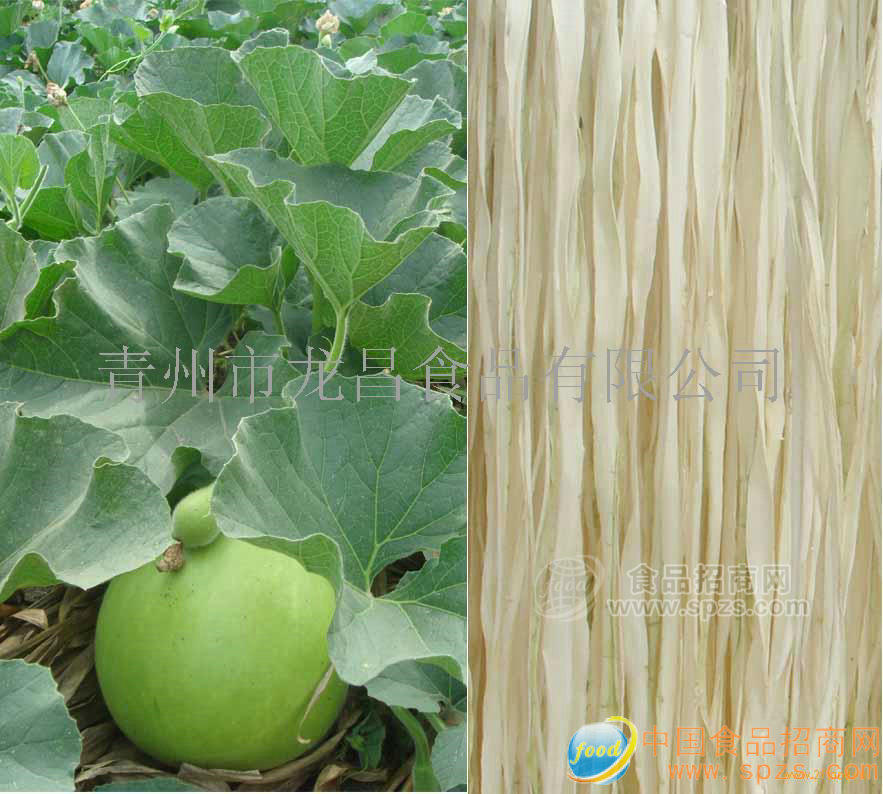供应无硫干瓢