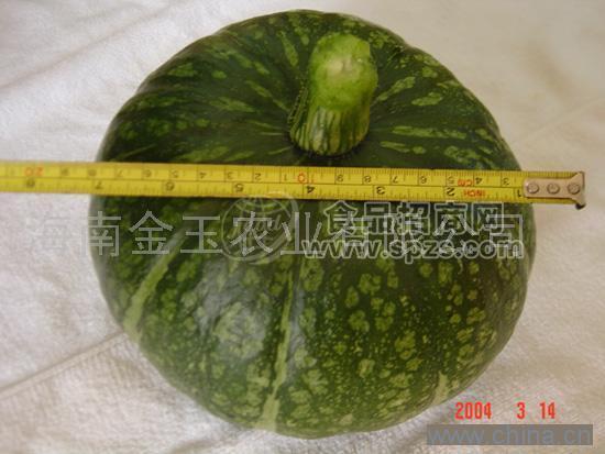 锦栗南瓜