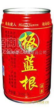 板蓝根凉茶诚招全国经销商