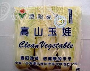 供应白菜(图)