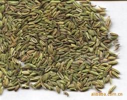 厂家供应QS小茴香粉