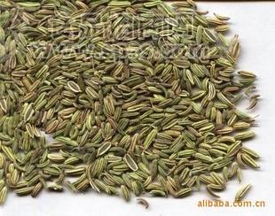 厂家供应QS小茴香粉