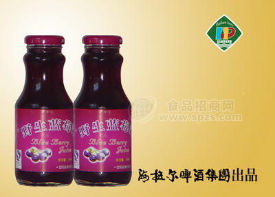 蓝莓野果汁
