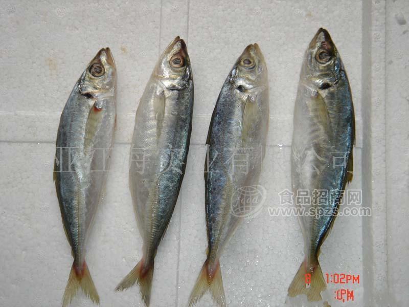 供應(yīng)池仔魚(yú)