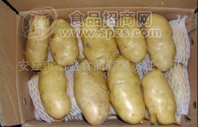 供應(yīng)250G荷蘭7號(hào)土豆(圖)