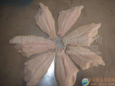鮰魚(yú)片