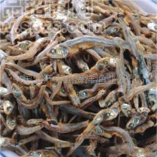 批發(fā)供應(yīng)舟山海鮮 明珠200克海蜒