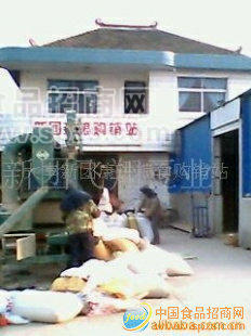 供应豆腐黄豆
