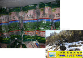 藏香豬(鮮肉分割真空包裝\速凍）