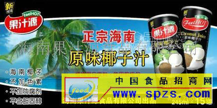 果汁源原味椰子汁招商