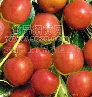 沾化 冬枣  金王食品