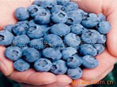IQF Blueberry