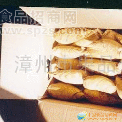供应冬笋(图)