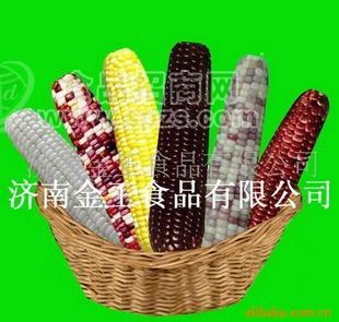 速冻 甜糯玉米 金王食品