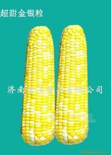水果玉米 冷冻蔬菜 绿色食品