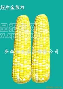 水果玉米 冷冻蔬菜 绿色食品