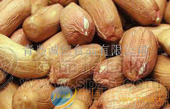 供应28/30大粒花生仁