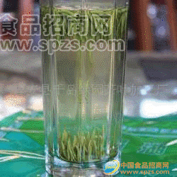供应银针/龙井/毛尖绿茶