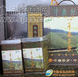 批发供应银针/龙井/毛尖绿茶