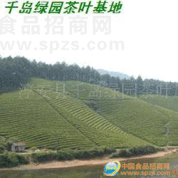 供应千岛湖茶末