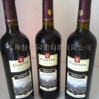 卡斯特优选红葡萄酒