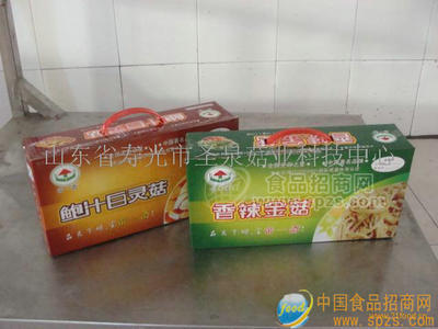 鲍汁白灵菇招商