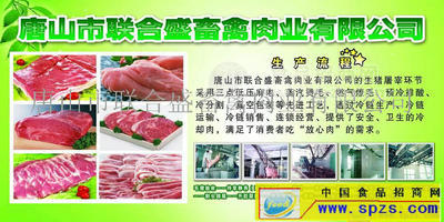 鲜肉