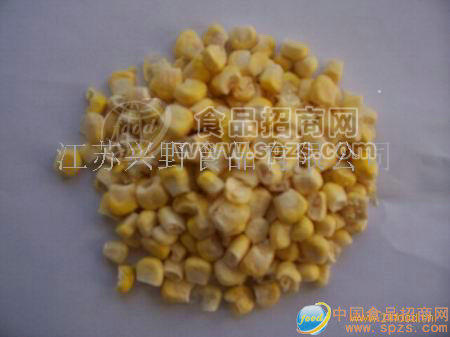 供应FD玉米粒